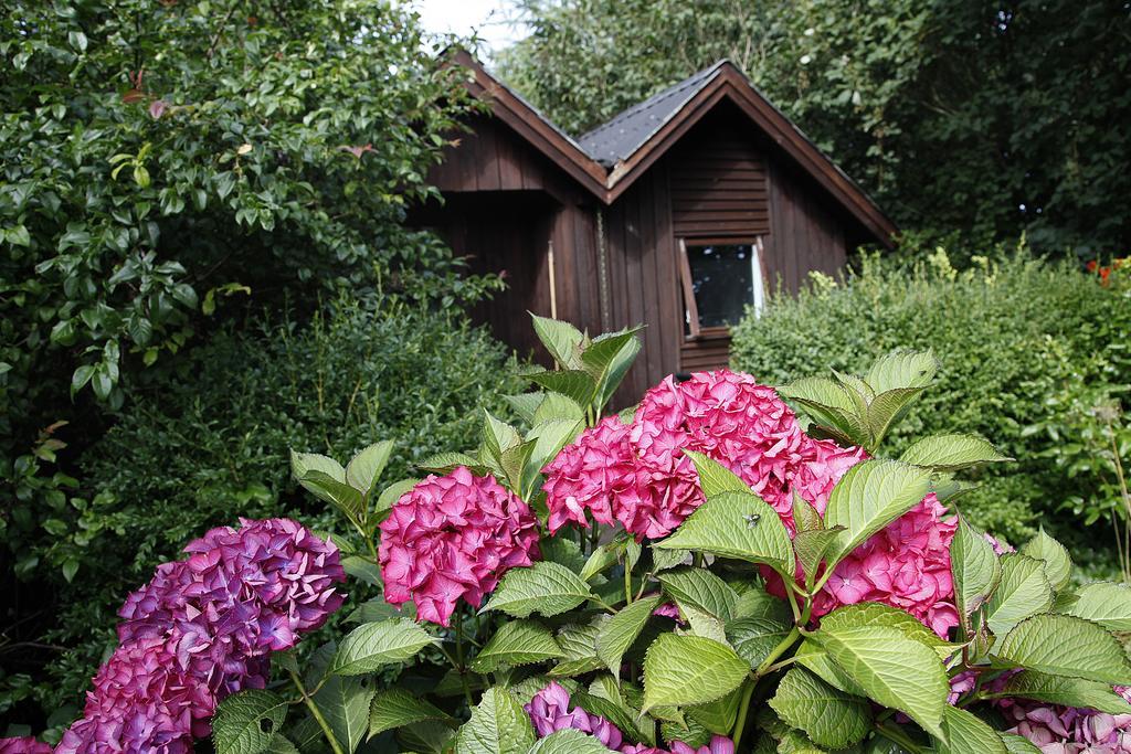 Børglum Cafehaven Bed & Breakfast 部屋 写真